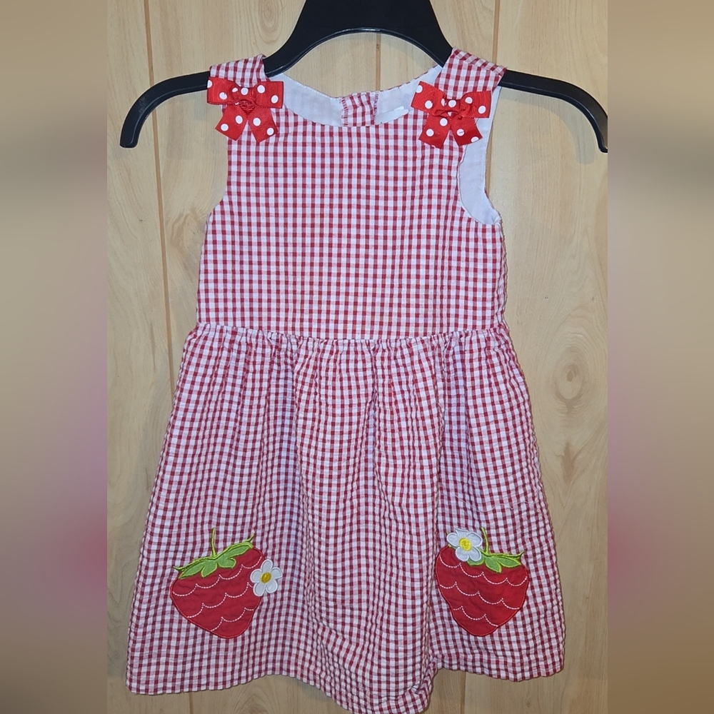 Counting Daisies Girls Size 5 Strawberry Dress